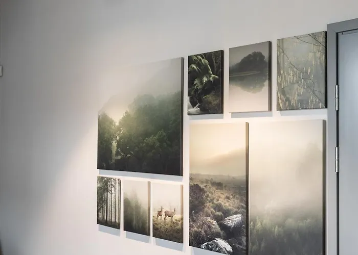 Brand New Kalma * Таллин