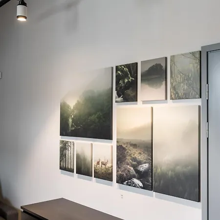 Brand New Kalma * Tallinn